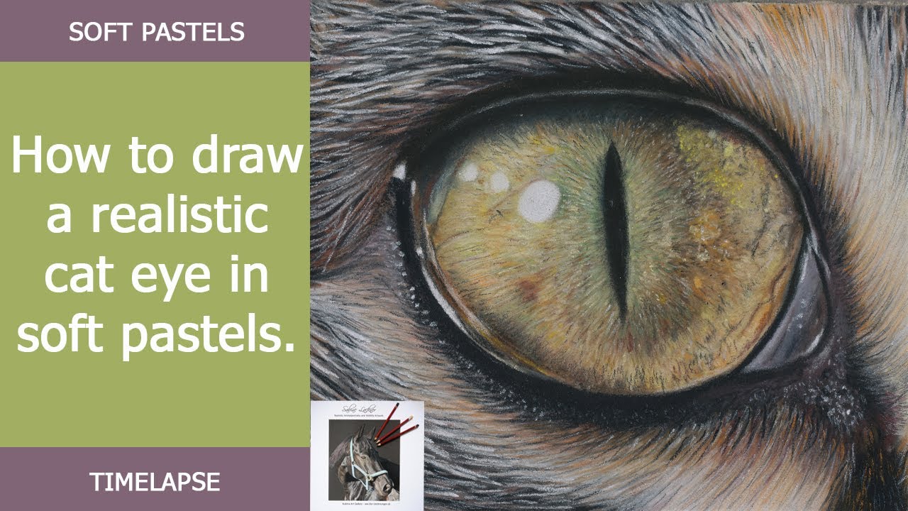 Drawing a cat eye with pastel pencils - Timelapse - Drawing Tutorial / Sabine Lackner