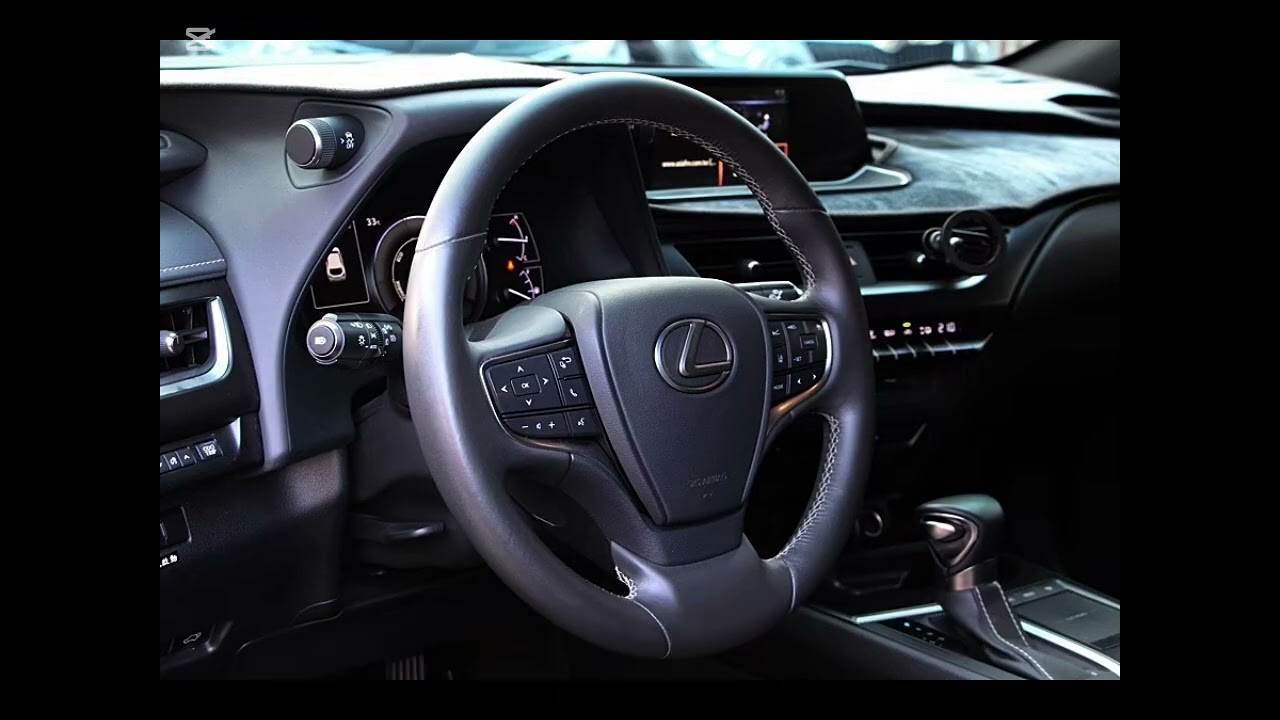 2019 LEXUS UX250H