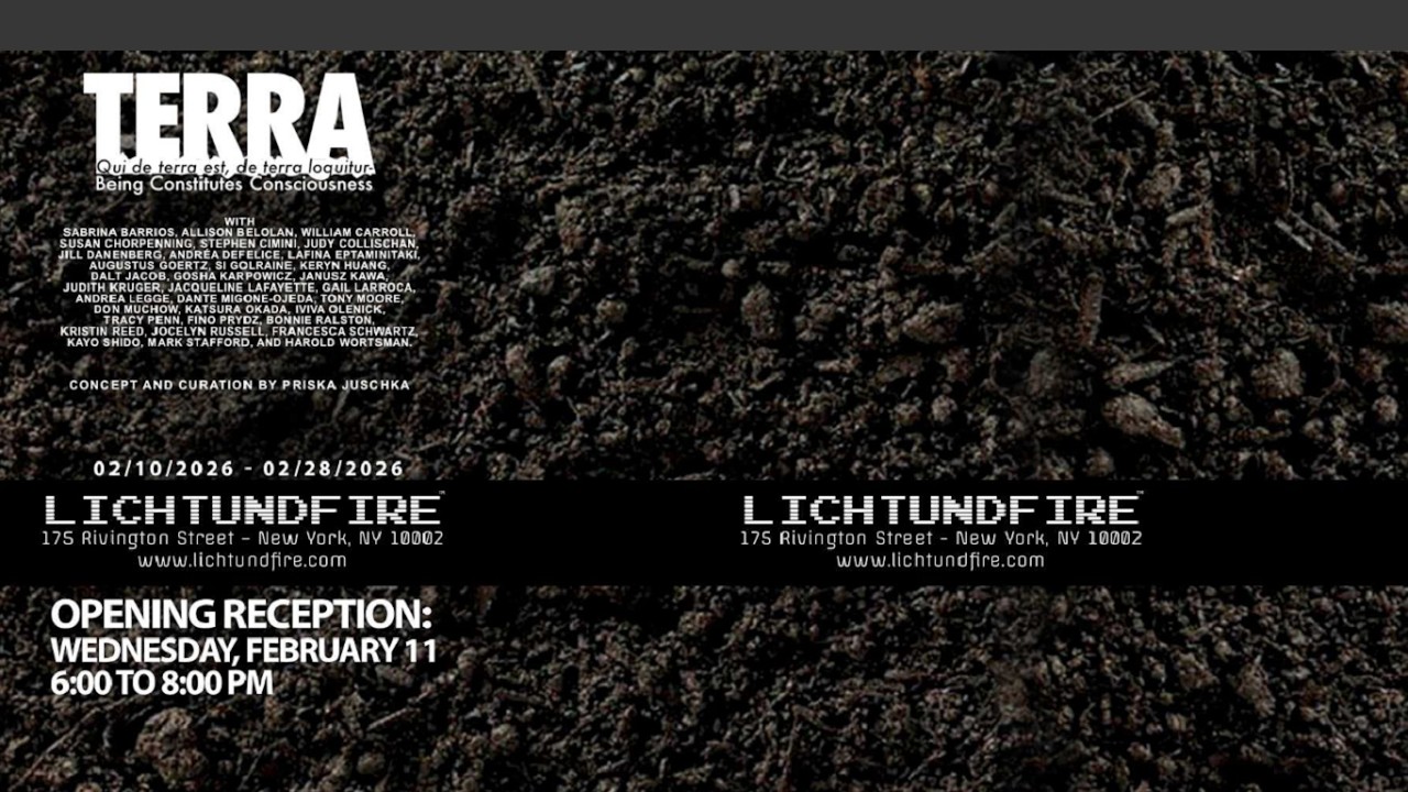 LICHTUNDFIRE - TERRA