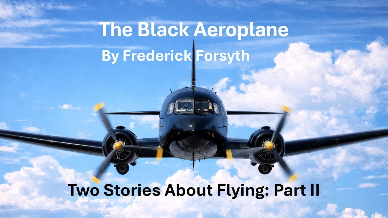 The Black Aeroplane | Frederick Forsyth | Two Stories About Flying: Part II | CBSE Class 10 English