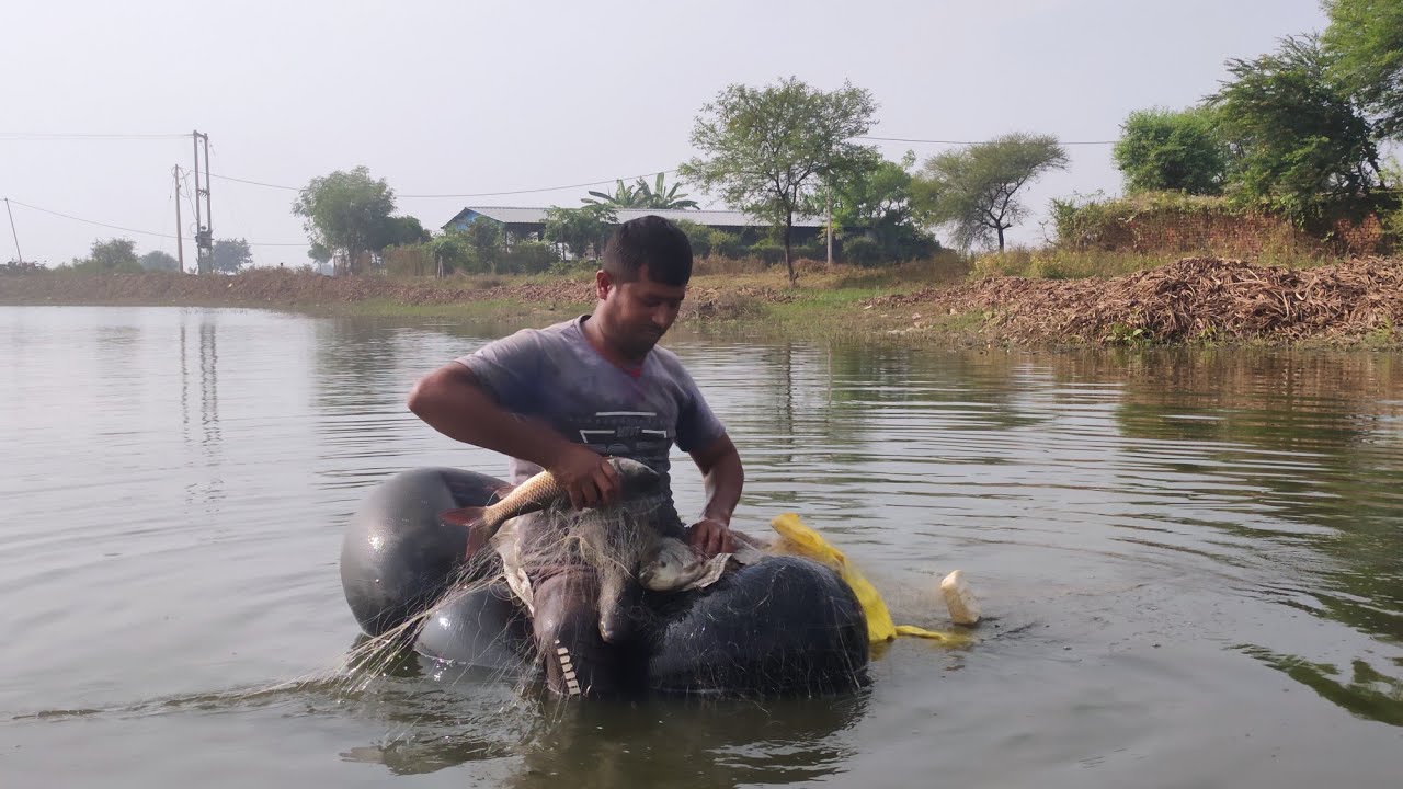 6 finger gill net fishing/unbelievable net fishing/amazing gill net fishing/rohu 🐠🐋🐟