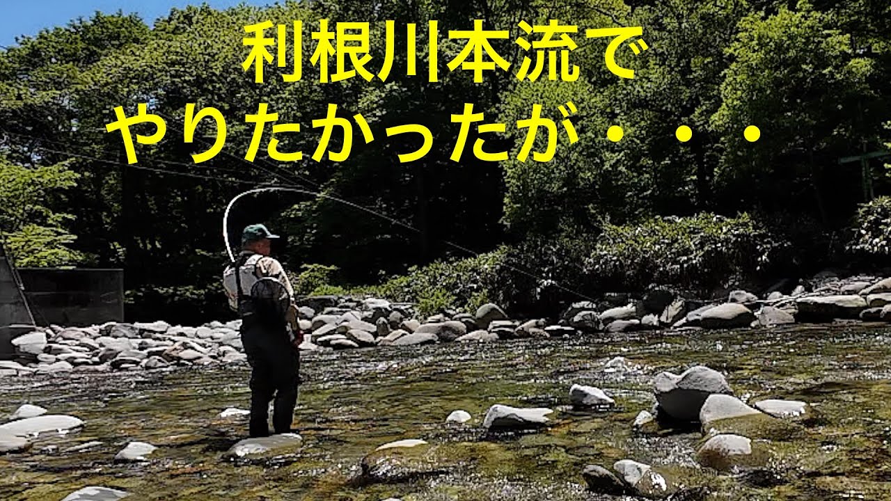 利根川本流がまだ出来ないので支流へ