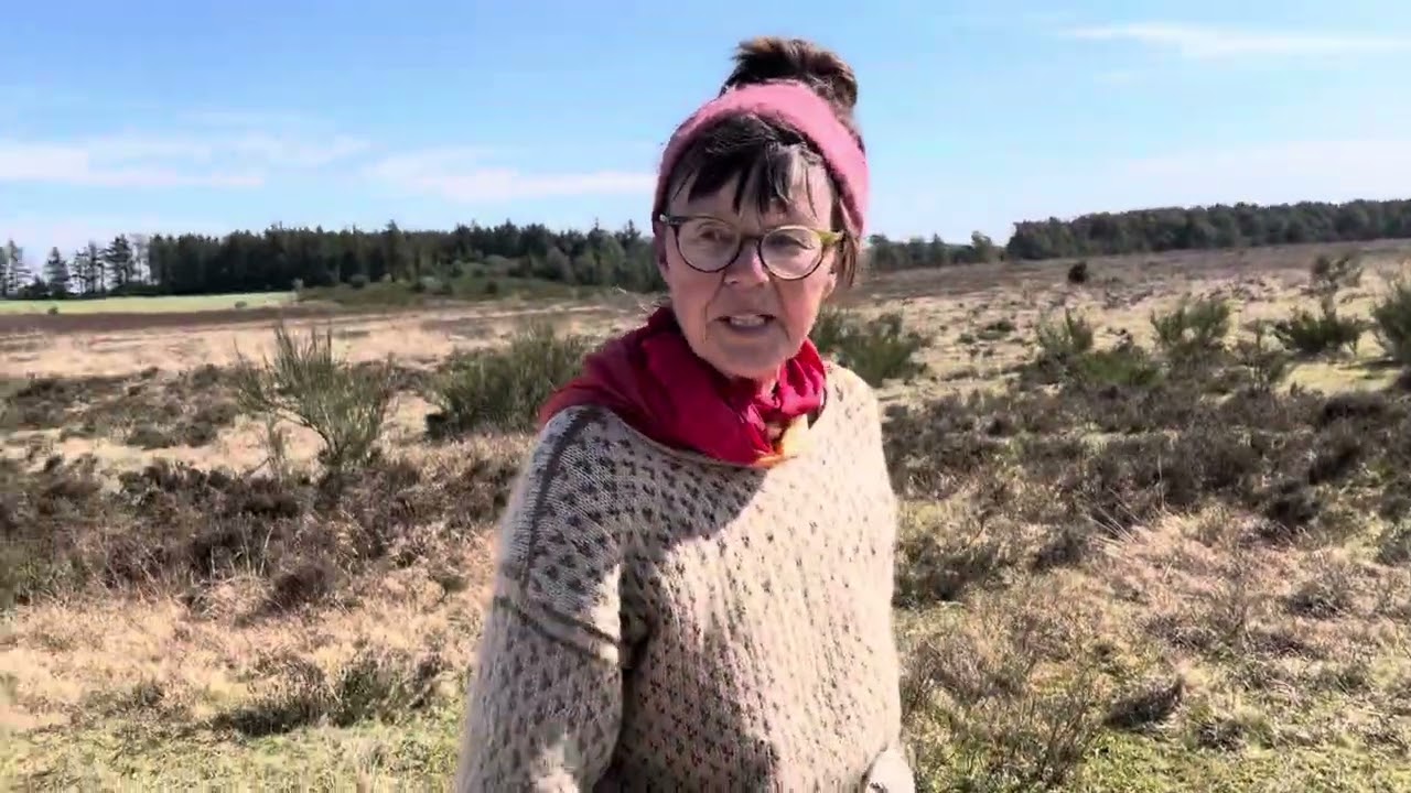 Interview med Berit fra Lystbækgård. Del 2.