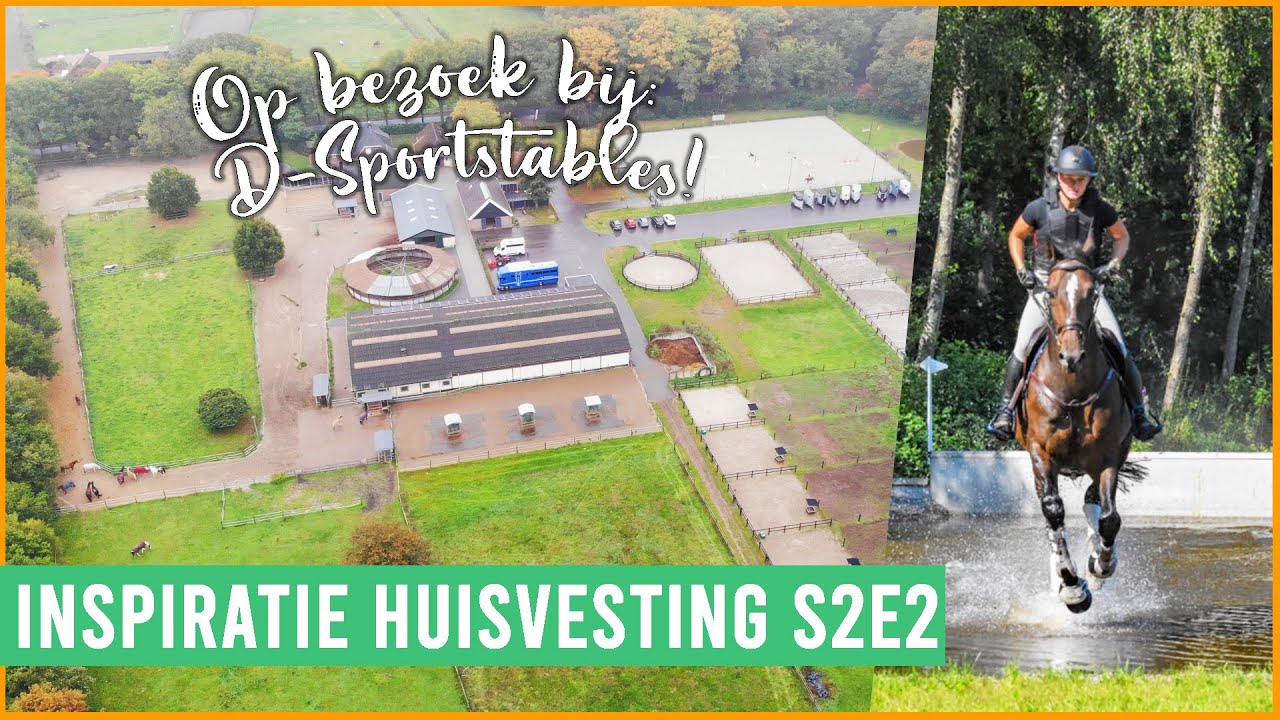 Eventingpaarden in een SporthorseParadise & HIT-actief stal! | felinehoi INSPIRATIE HUISVESTING S2E2