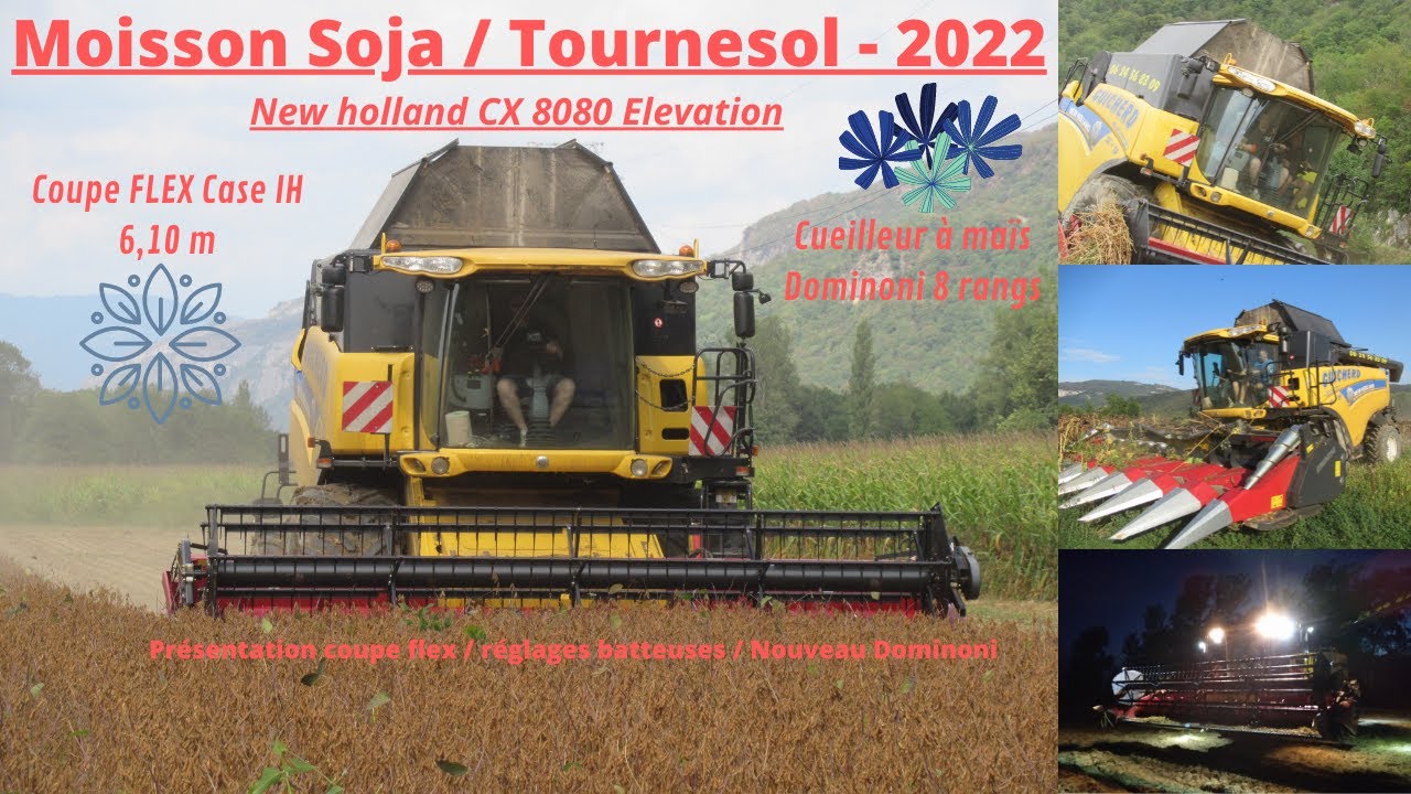 Moisson Soja - Tournesol / Coupe flex 6.10 m, bec 8 rangs, CX8080 Elevation / ETA Guicherd - 2022
