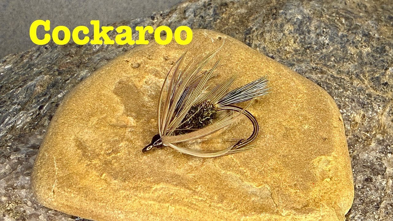 Beautiful Iridescent Wet Fly for the Bluegill Pond