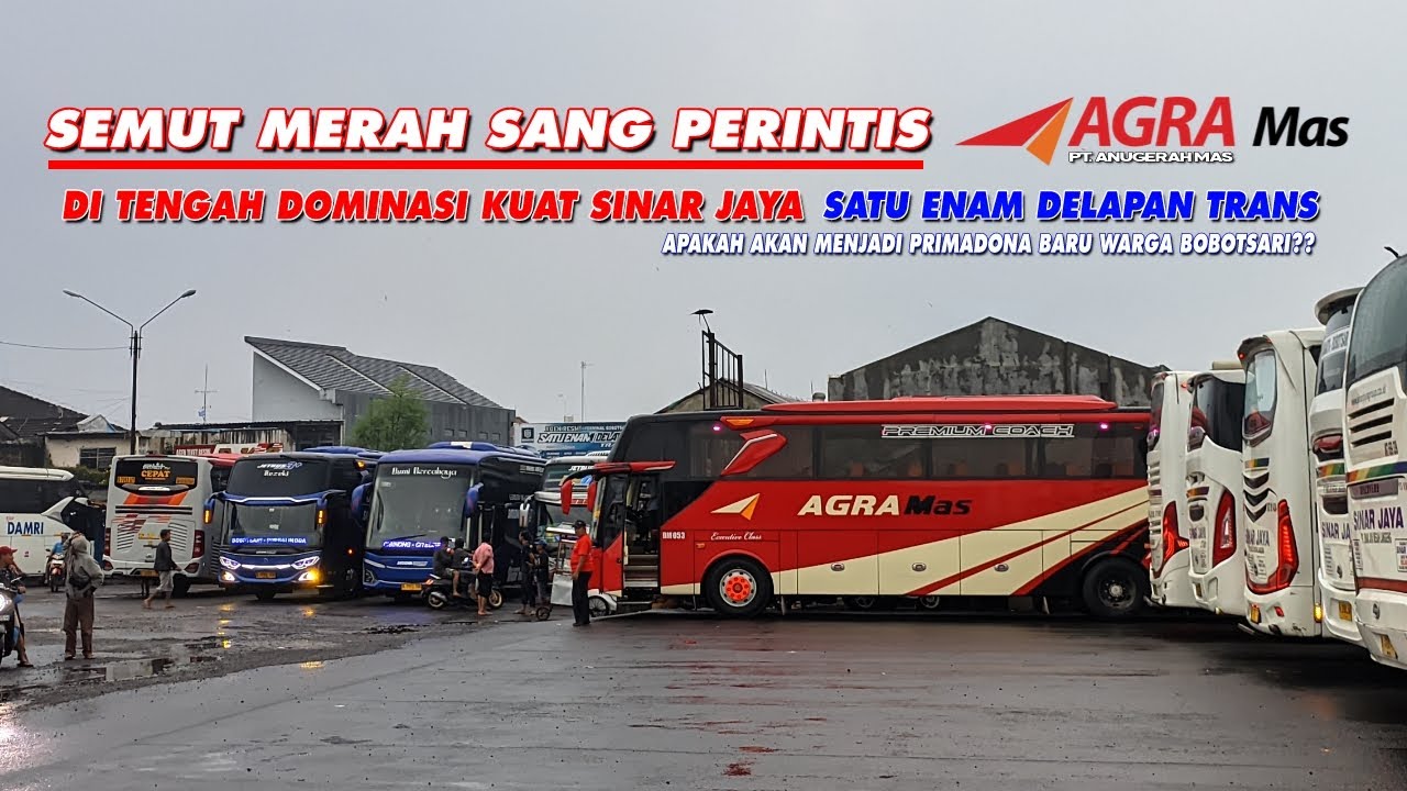 BARU BEBERAPA HARI LINE BOBOTSARI BUS AGRA MAS SUDAH ADA YANG DIGANTI⁉️ TERMINAL BUS BOBOTSARI AREA