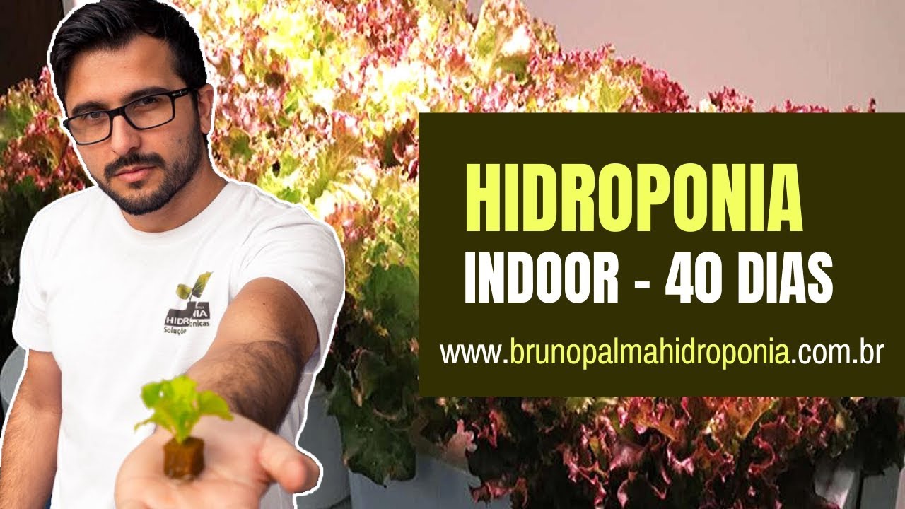 Hidroponia com Lâmpada Led (Indoor) - 40 dias