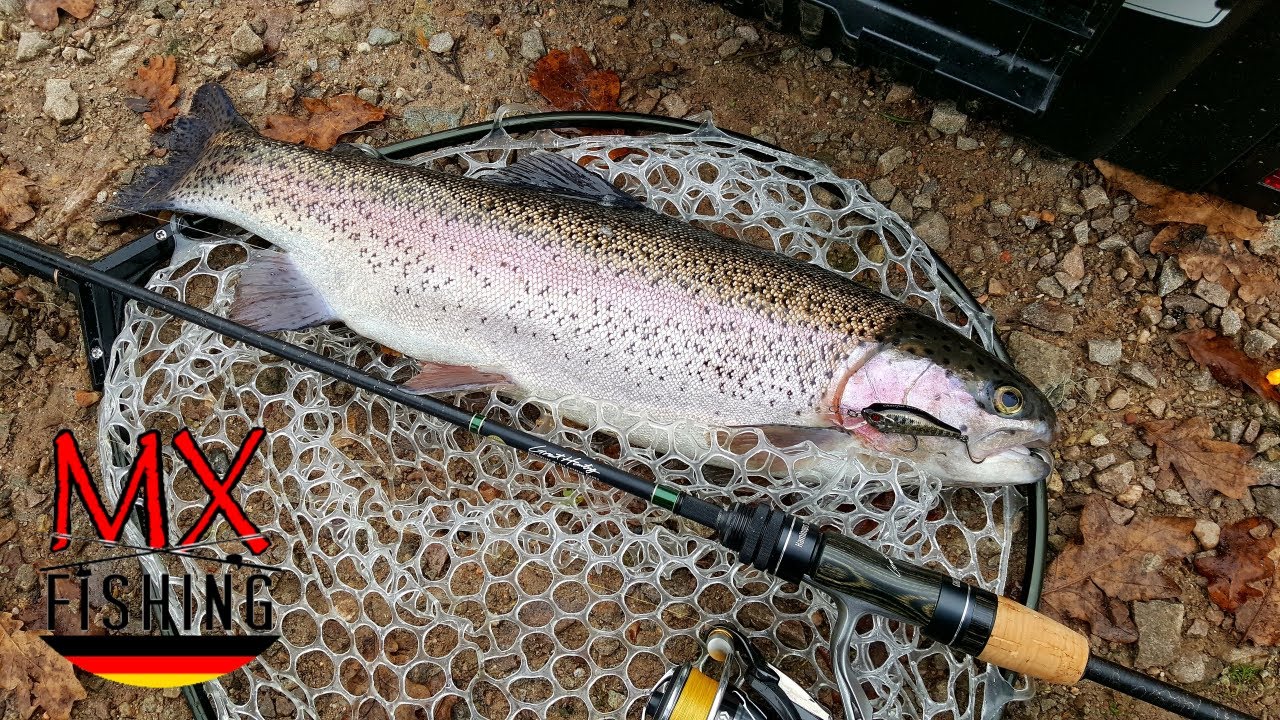Trout Legue Germany August/Trout Area/ Forellen fischen/Turnier Modus