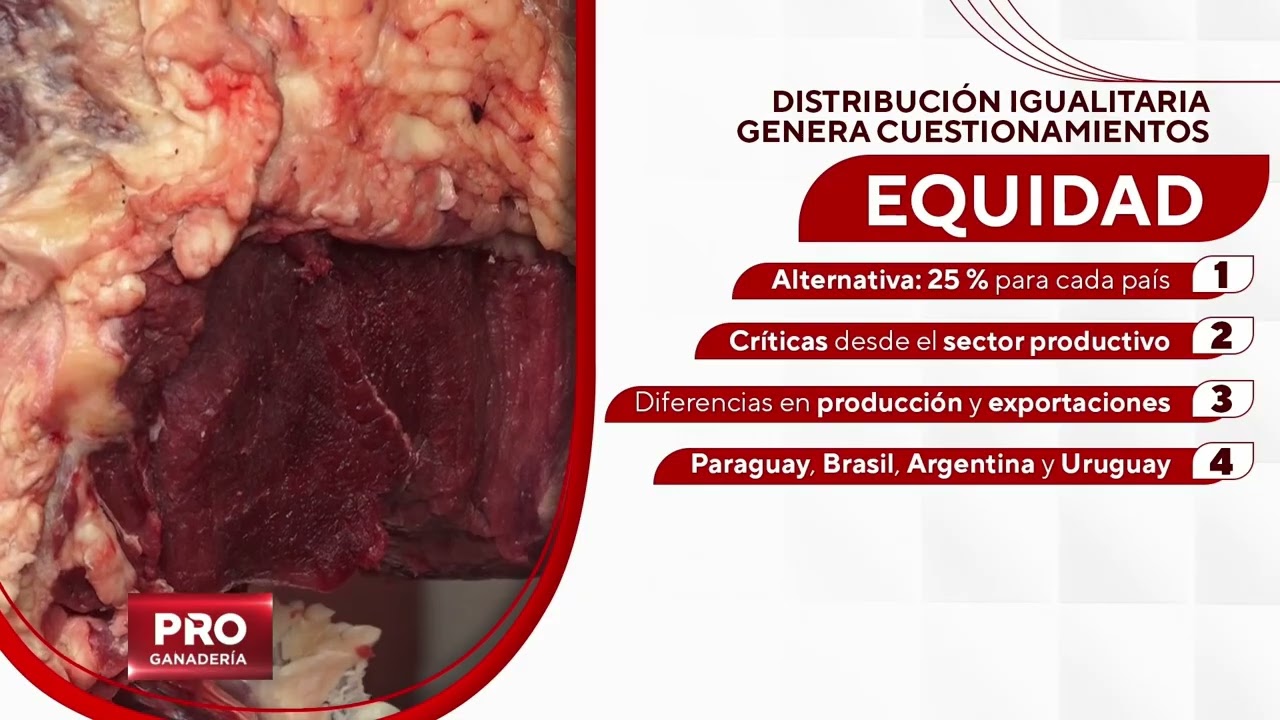 Continúa la vacunación contra la fiebre aftosa