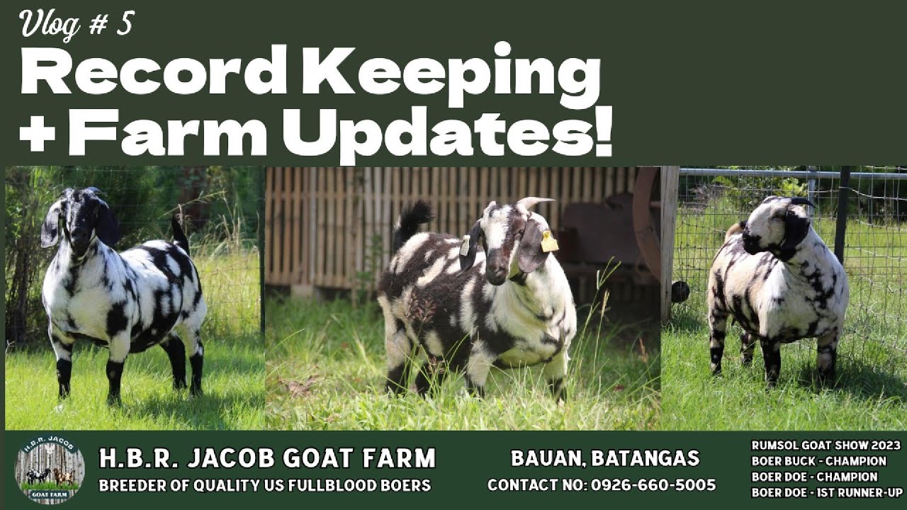 Vlog #5: Record Keeping + Farm Updates!