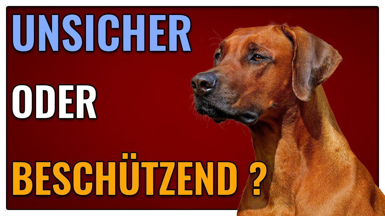 Unsicherheit oder Beschützerinstinkt? So erkennst du es - TGH 348