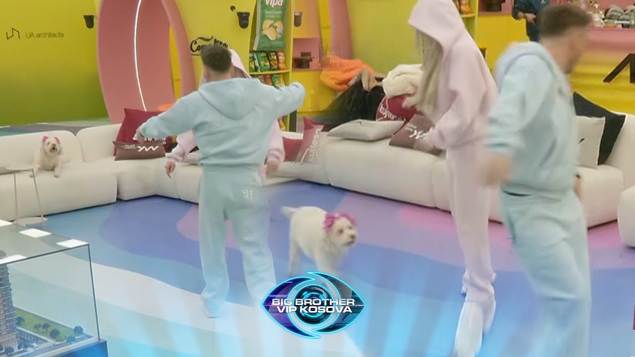 Ludo shkon ta përqafojë Benitën, por Bella e pengon.