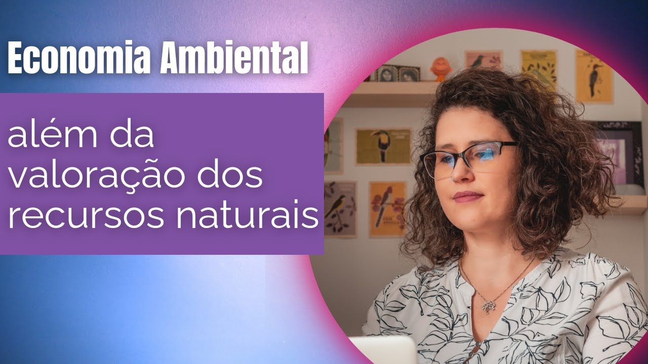Economia Ambiental al&eacute;m da valora&ccedil;&atilde;o dos recursos naturais