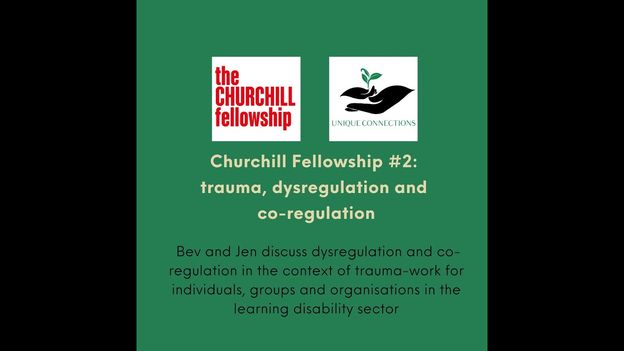 Churchill Fellowship Report #2: trauma, dysregulation and co-regulation
