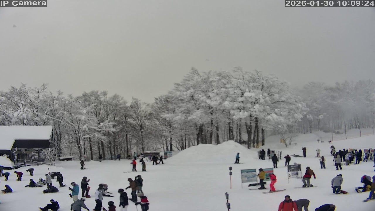 Camera 白馬岩岳マウンテンリゾート - 2026-01-30 02:40
