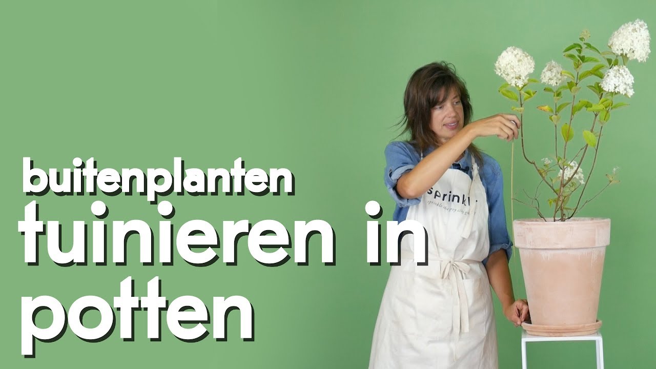 Hoe tuinier je in potten?