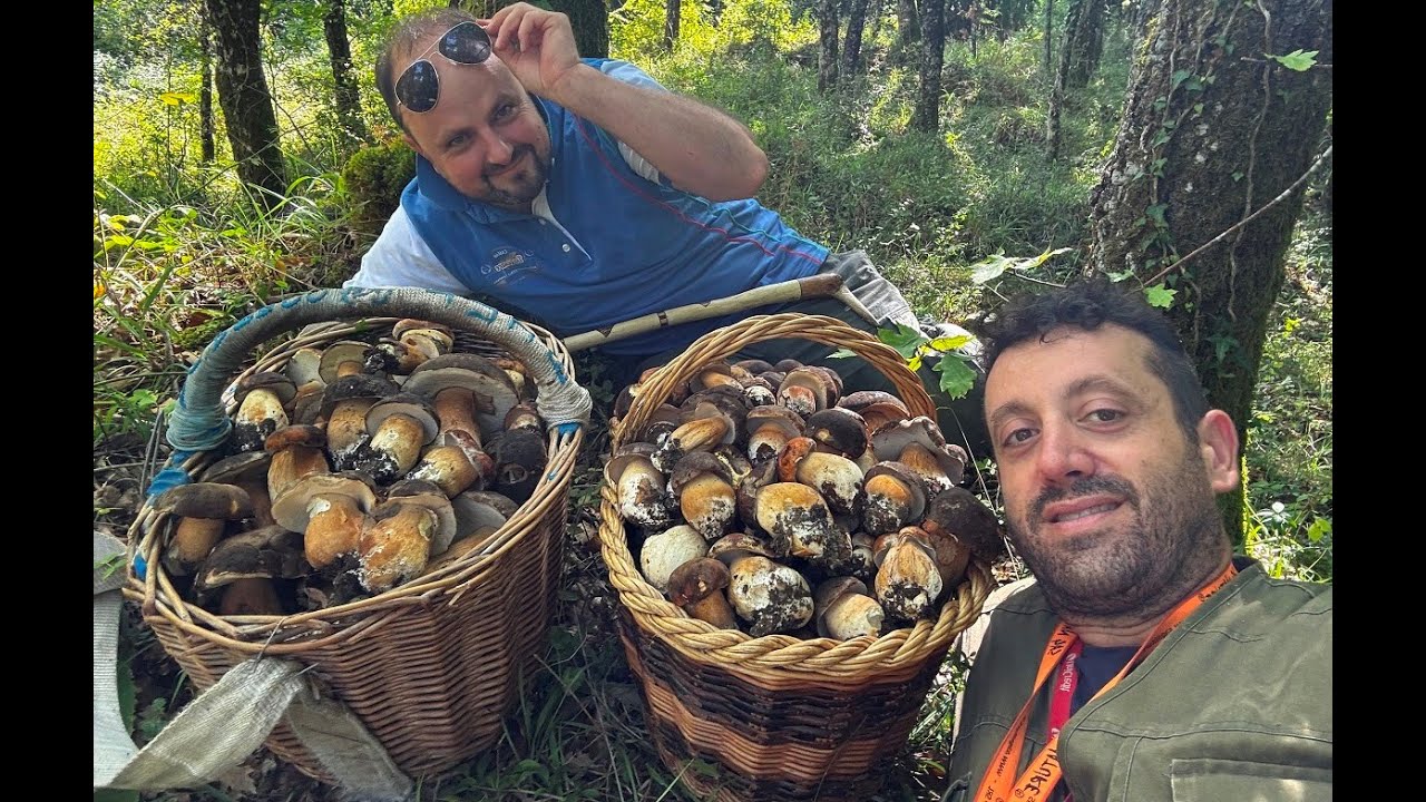 💥 PORCINI NERI DA URLO! GUARDA CHE BOLETUS AEREUS.
