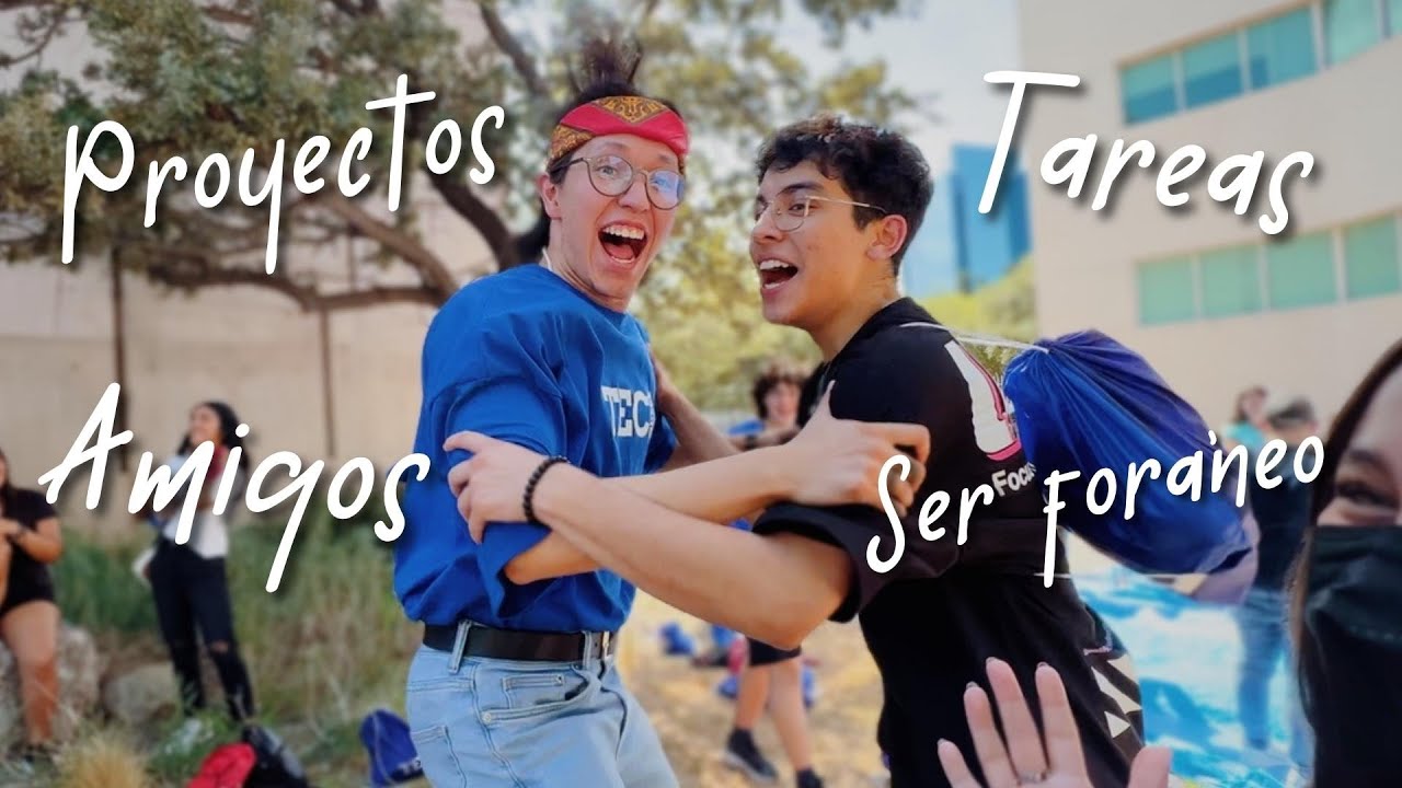 Cómo sobrevivir a la UNIVERSIDAD