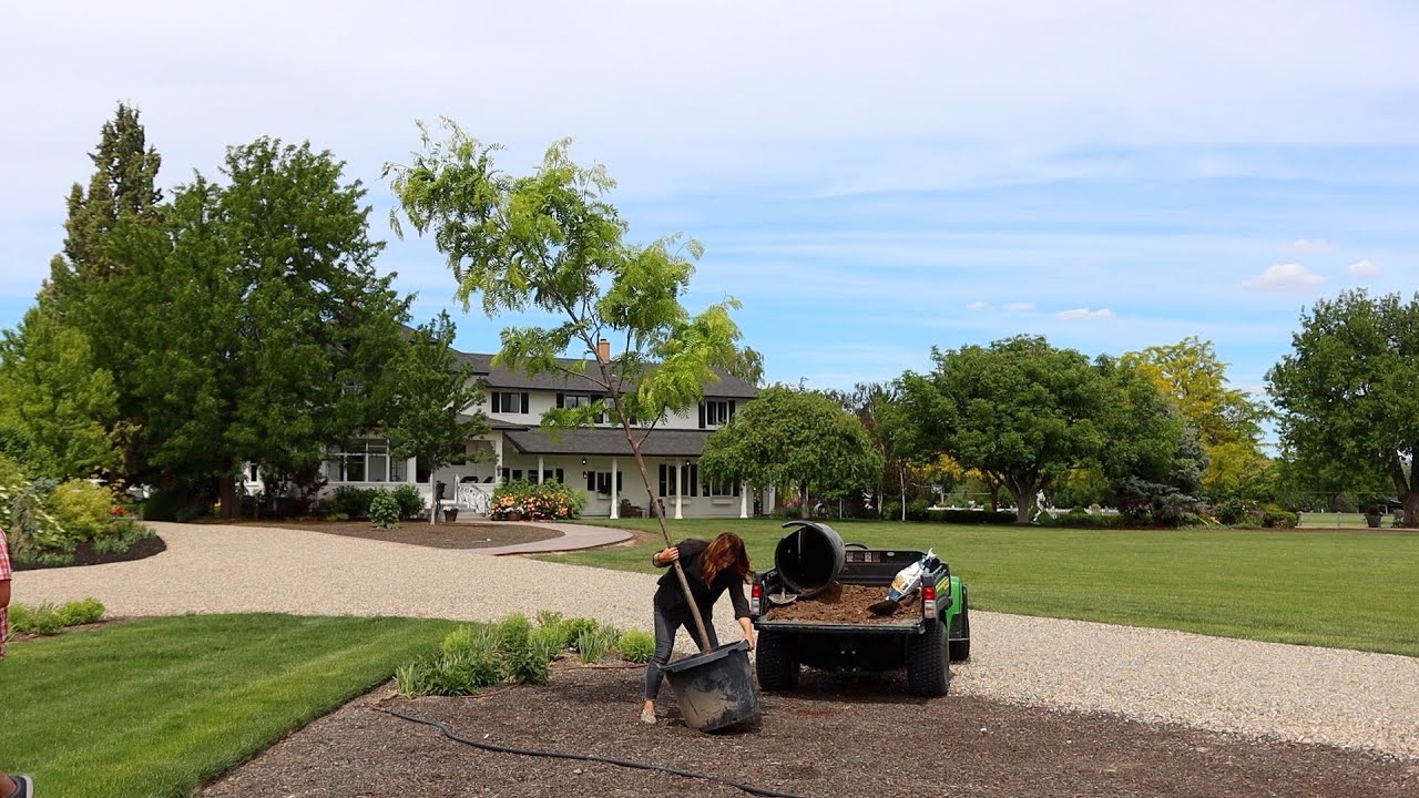 Planting Honey Locust Trees + Picking Out Stones & Marking a New Pathway! 🌳💚 // Garden Answer