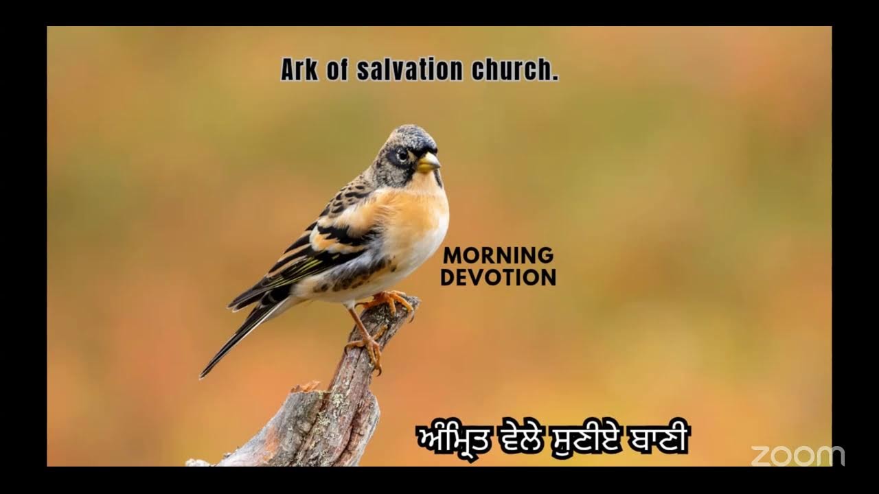 Morning Devotion| सुबह की प्रार्थना|ਅੰਮ੍ਰਿਤ ਵੇਲੇ ਸੁਣੀਏ ਬਾਣੀ|