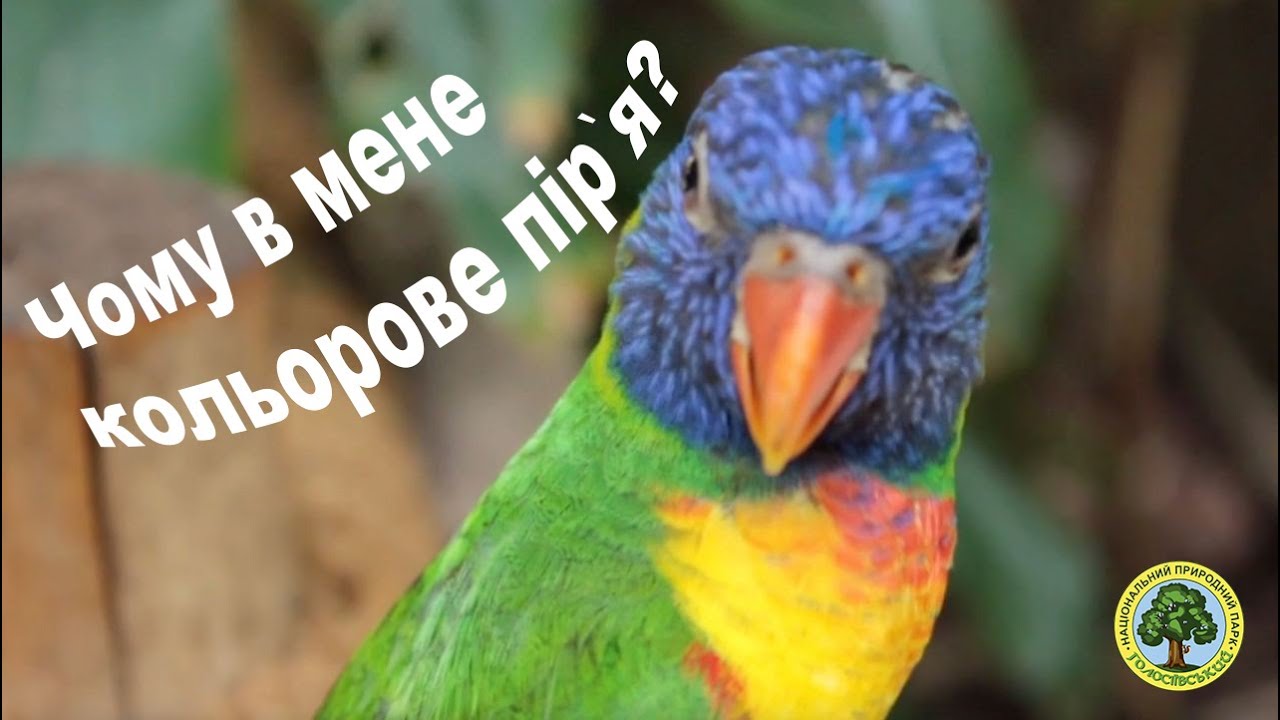 Запитай природознавця, випуск 5