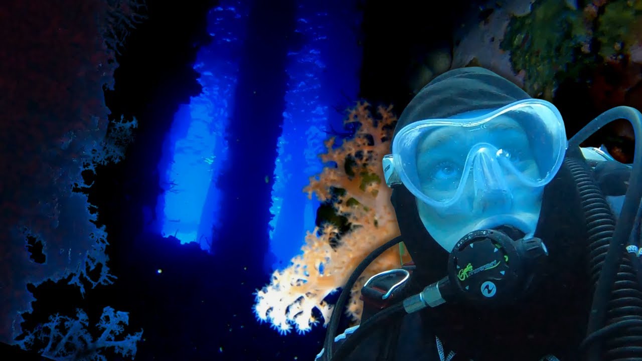 Rare Opportunity to Dive the Port of Dumaguete