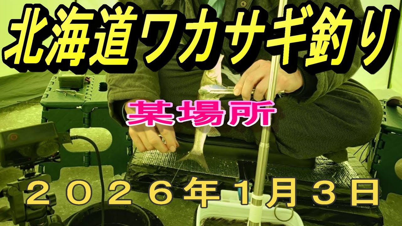 【北海道ワカサギ釣り２０２６】２０２６年１月３日　某場所