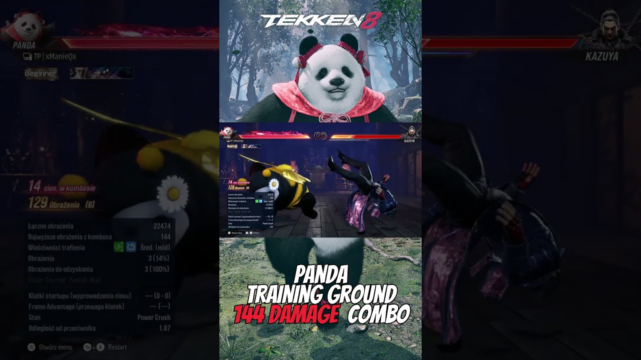 Tekken 8 Panda 144 Damage Combo