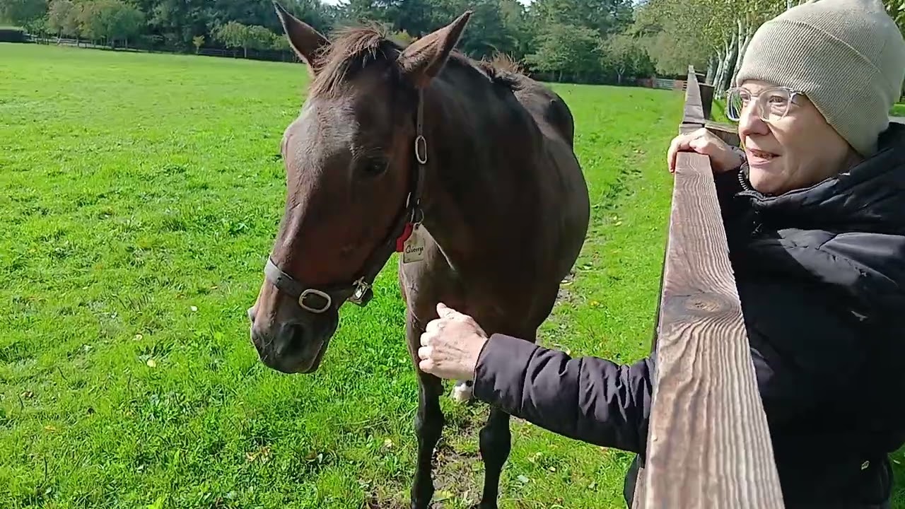 The Irish National Stud 2025 Season 2025-09-21 Sunday, From phone, video 2