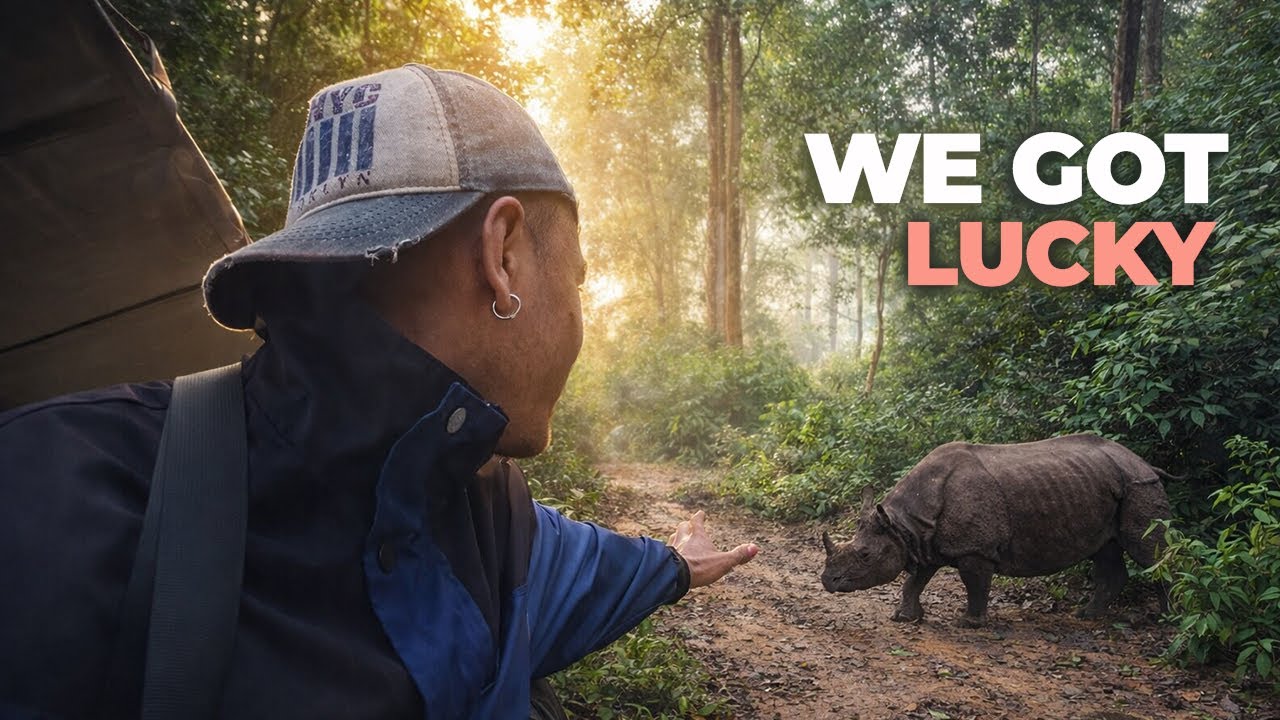 Chitwan Jungle Safari | We Almost Missed This Rhino Encounter