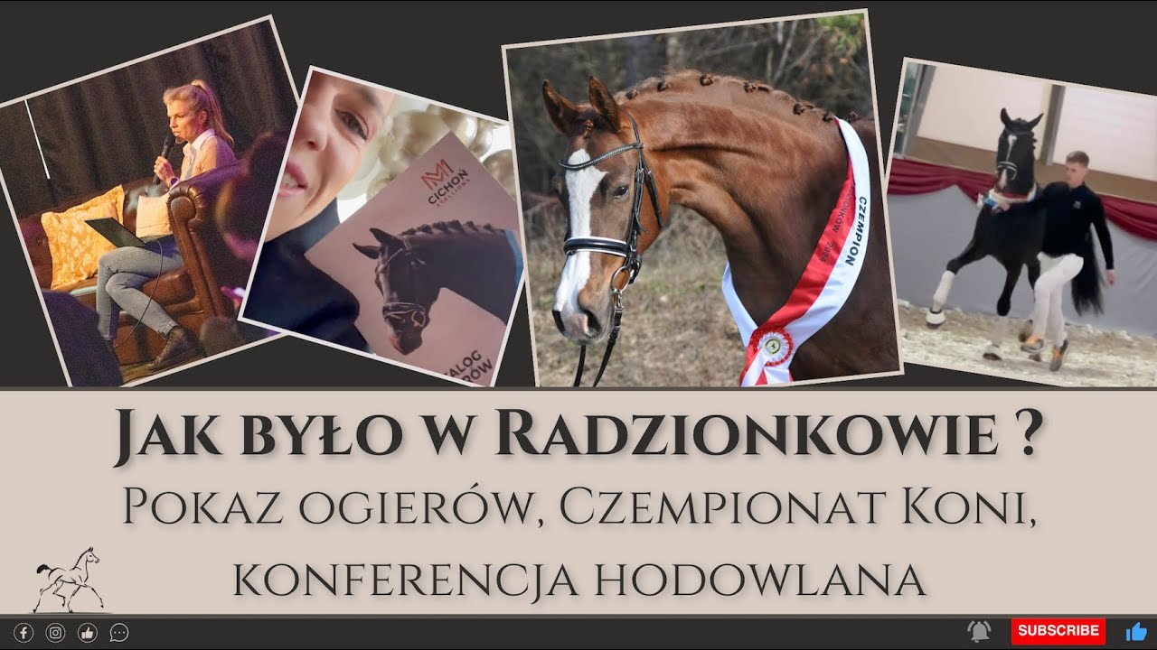 Wyjazd do Radzionkowa - czempionat, pokaz ogierów, konferencja i nasze wystąpienie