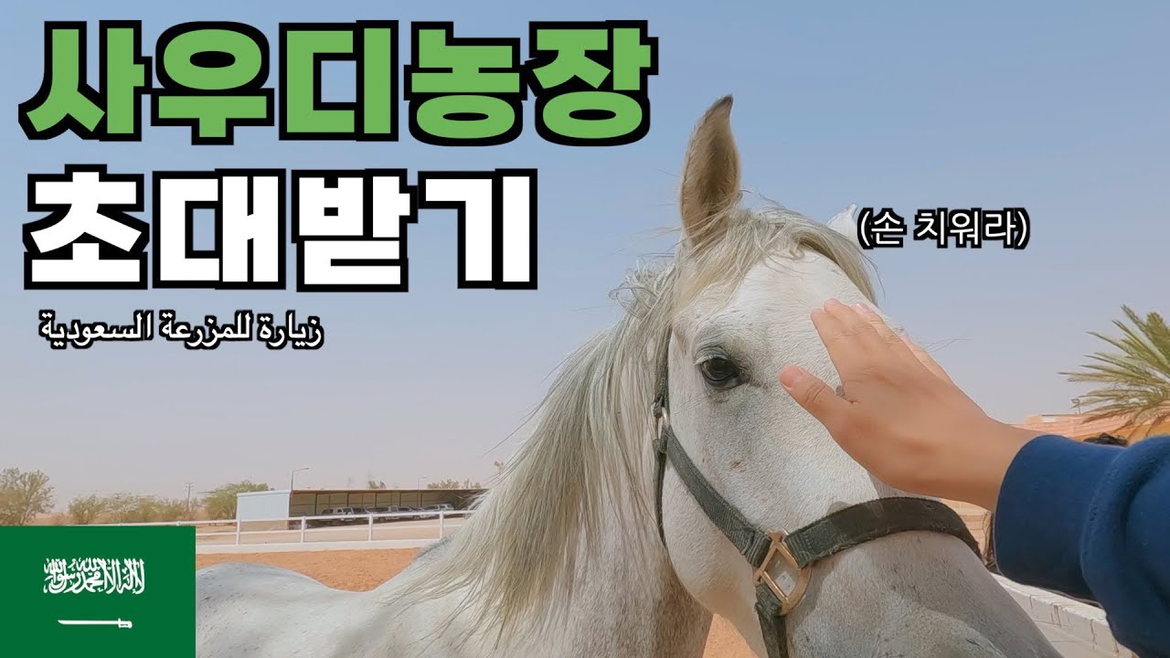 사우디 농장에서 동물농장 찍기 - 사우디(18)🇸🇦 الدعوة إلى المزرعة