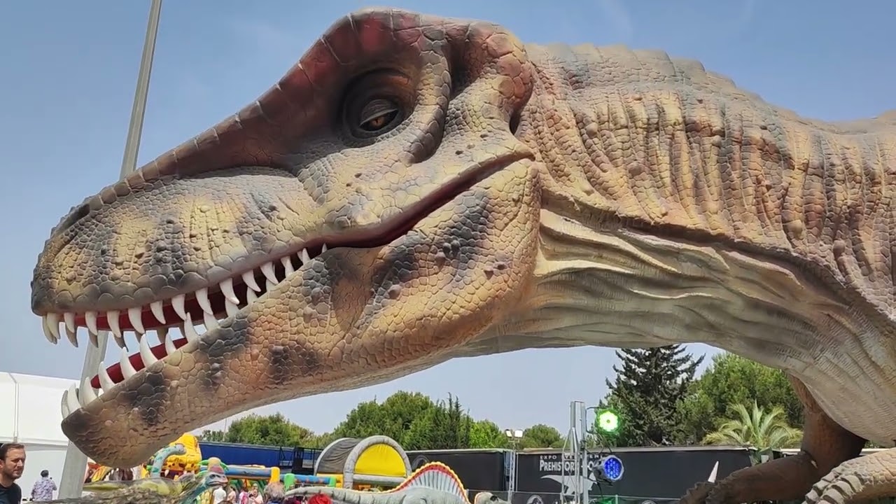 Dino Expo XXL in Torre-Pacheco