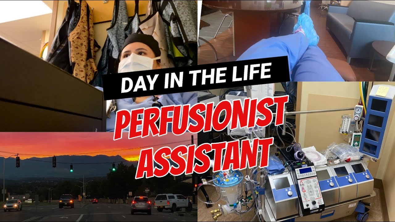 DAY IN THE LIFE: Perfusionist Assistant | An Introduction