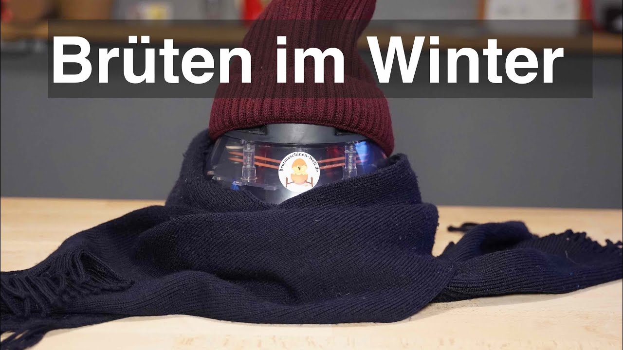 Ausbr&uuml;ten im Winter - das musst du unbedingt wissen!