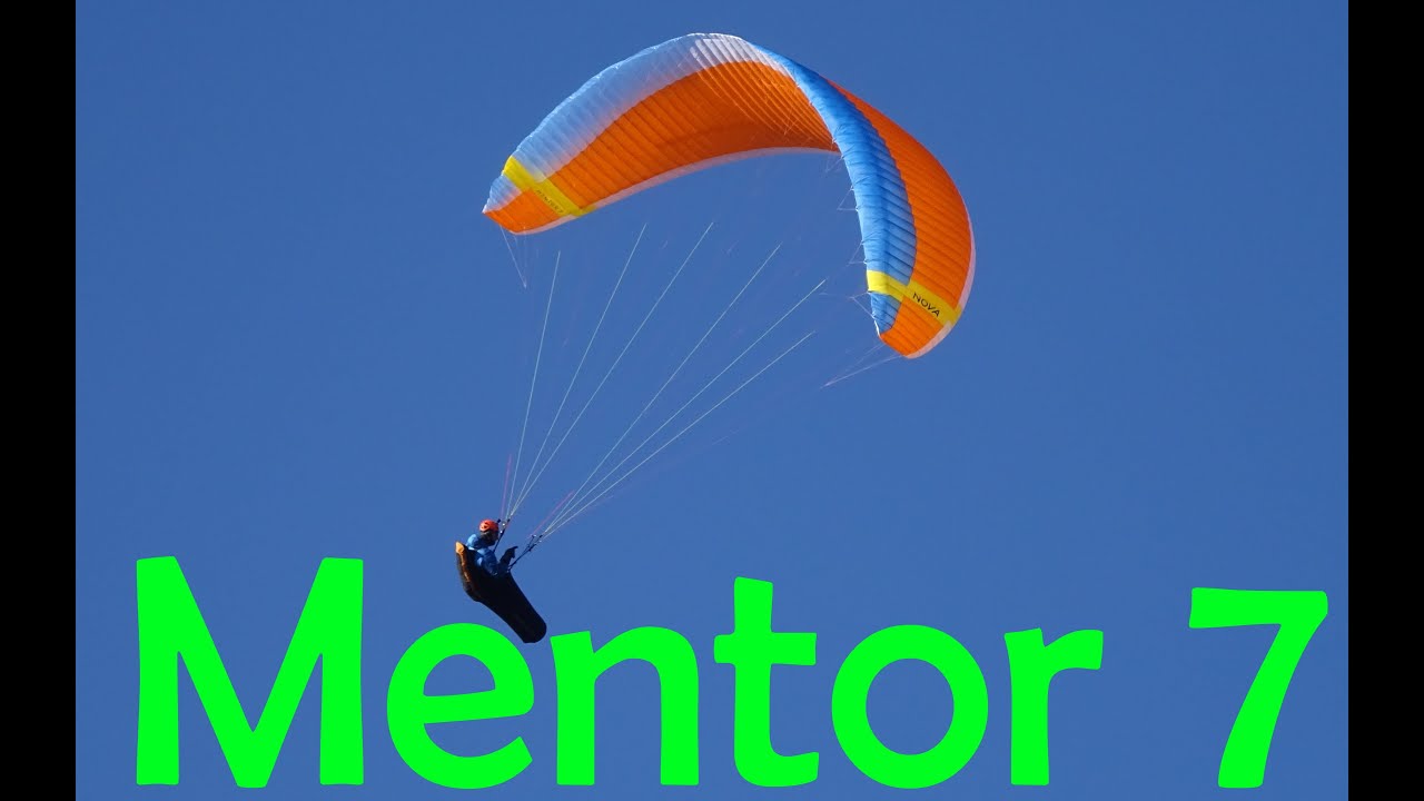Mentor 7