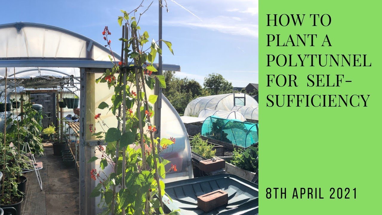 How to plant a polytunnel for max productivity and self-sufficiency