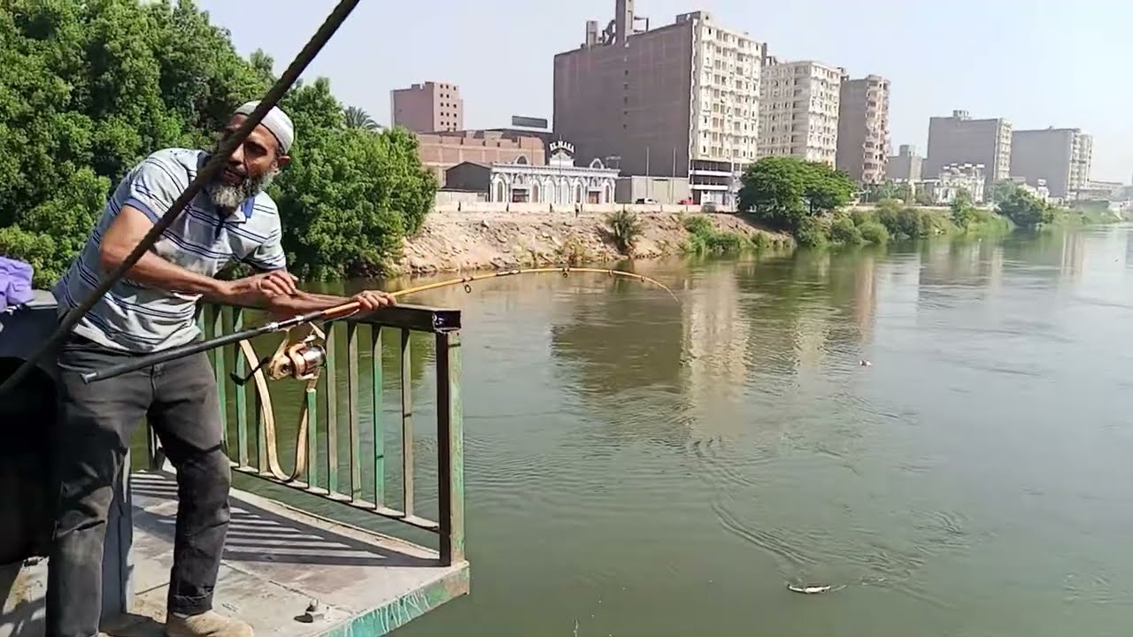 اول اسماك الموسم بعدضياع الوحش فى ابو زعبل