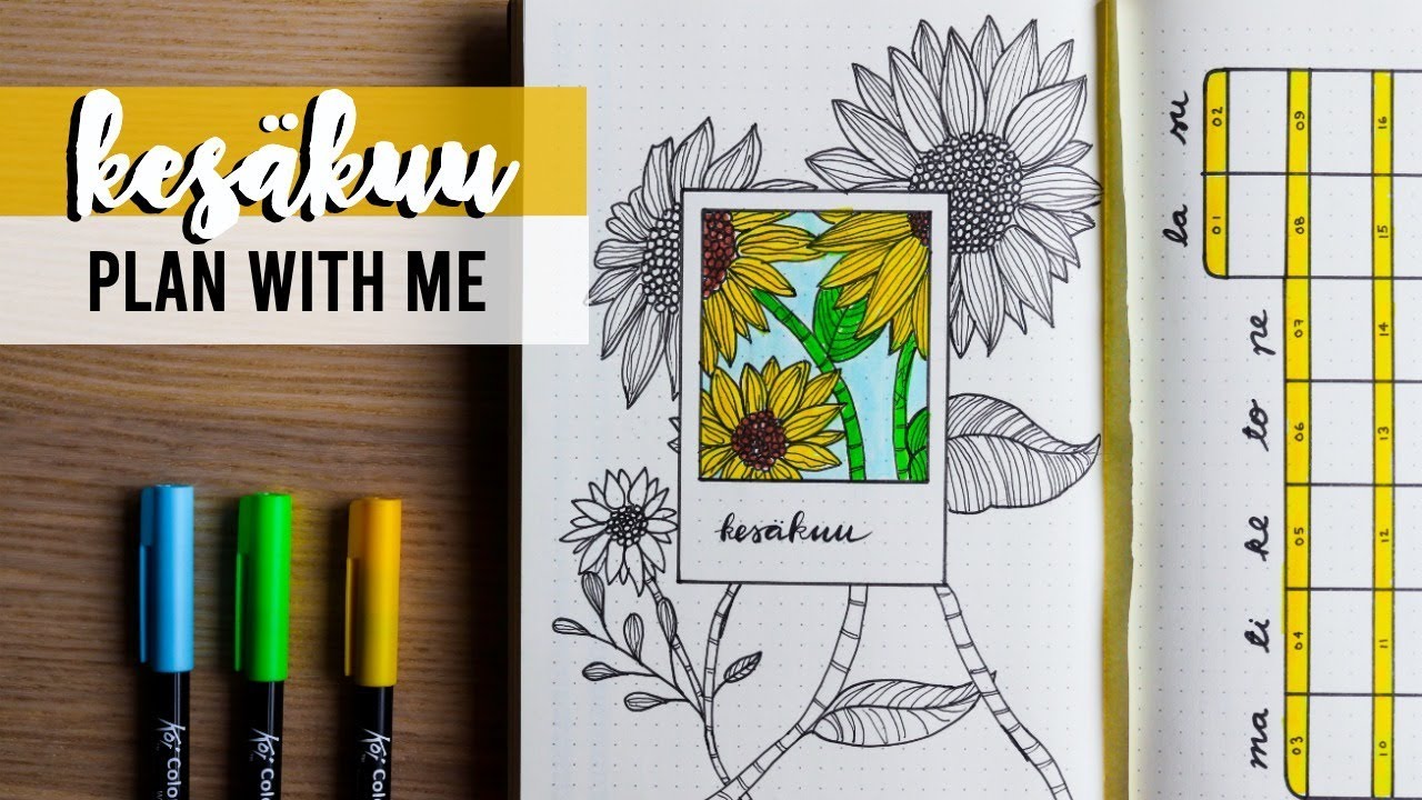 KESÄKUU plan with me | bullet journal Suomi 2019