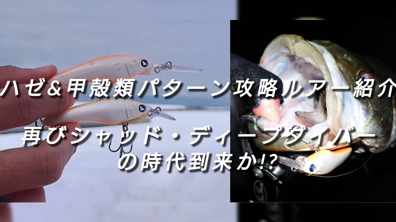 【ハゼ&甲殻類パターン攻略ルアー紹介】ボトム攻略のキーは!?再びシャッド・ディープダイバーの時代到来か!?