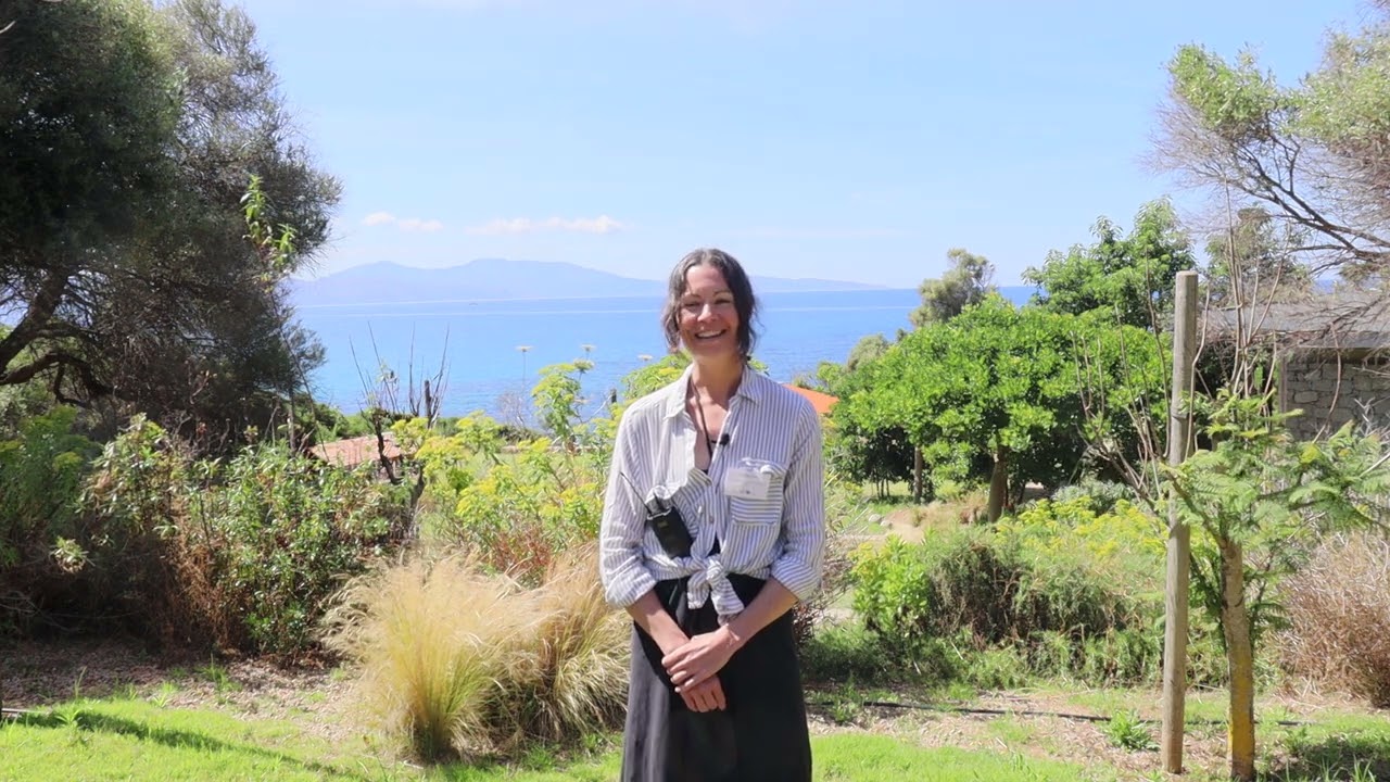 Jennifer Druhan: Fundamentals of reactive transport across water-rock-life interfaces (Summary)