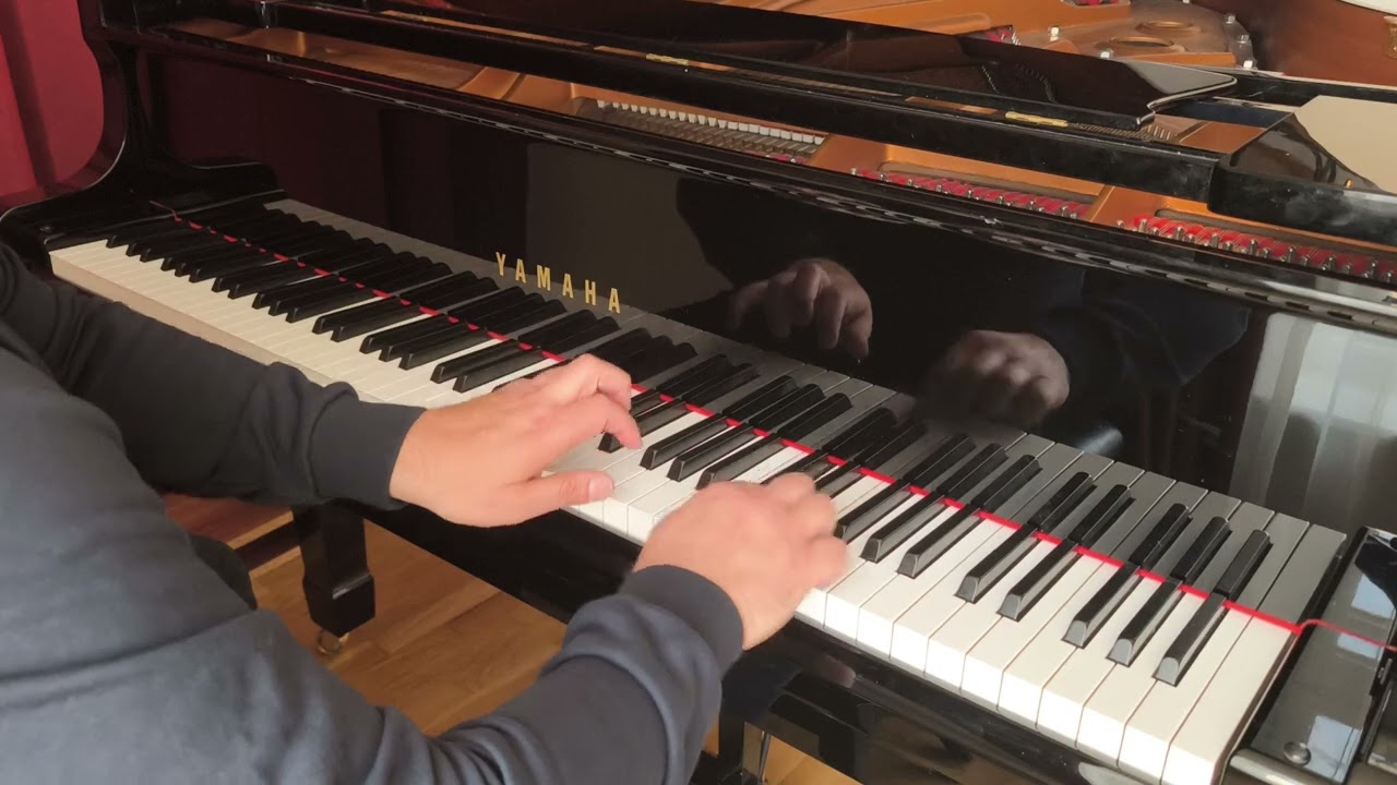 Liszt Ferenc &Gnomreigen