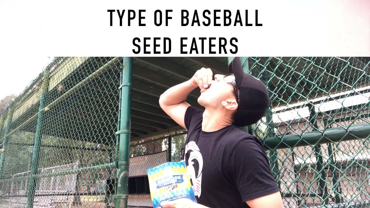 Baseball Stereotype | Type of Sunflower Seed Eaters | High School Dugout