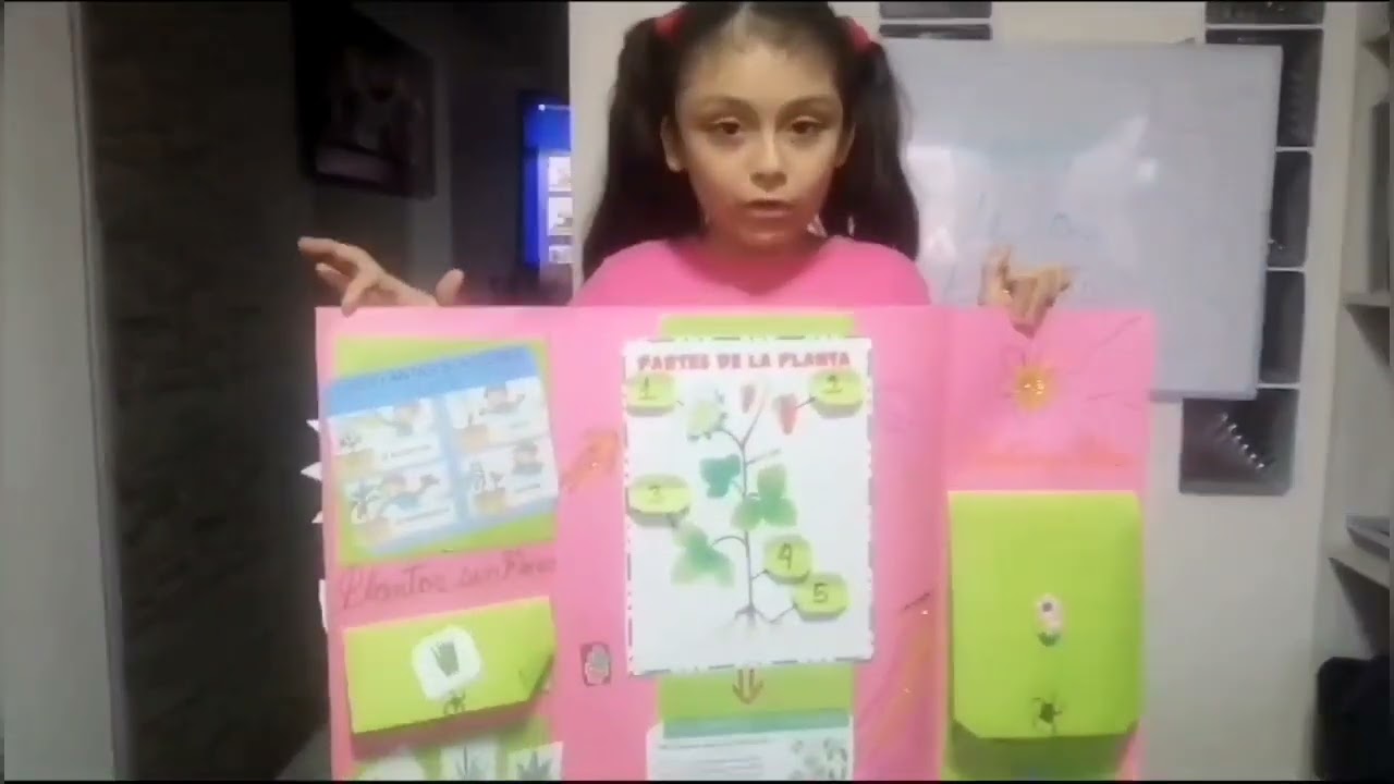 Lapbook de las Plantas, ¿qué es? Miroslava te explica