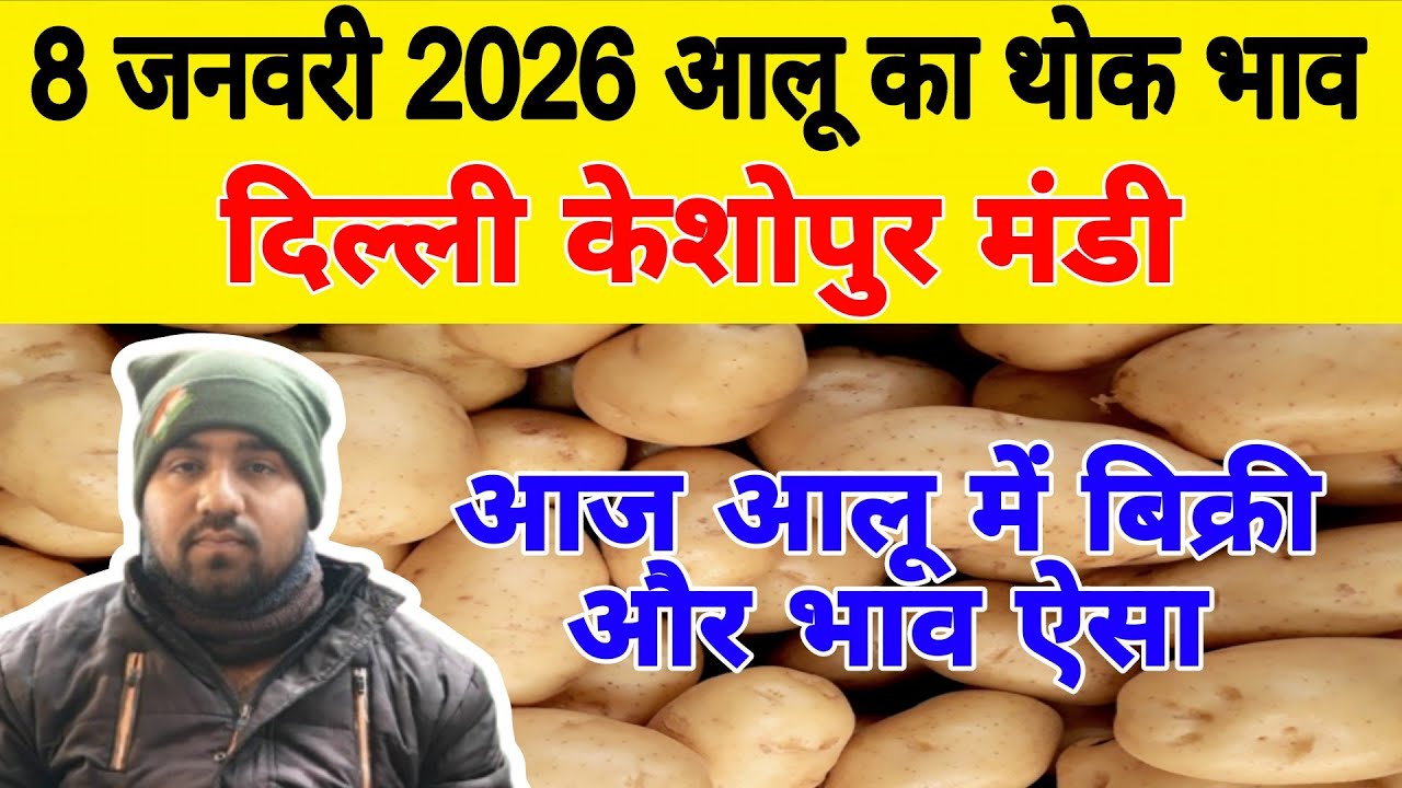 दिल्ली आलू का भाव | 🥔potato market price today | Today Potato Price | 8 Jan 2026 