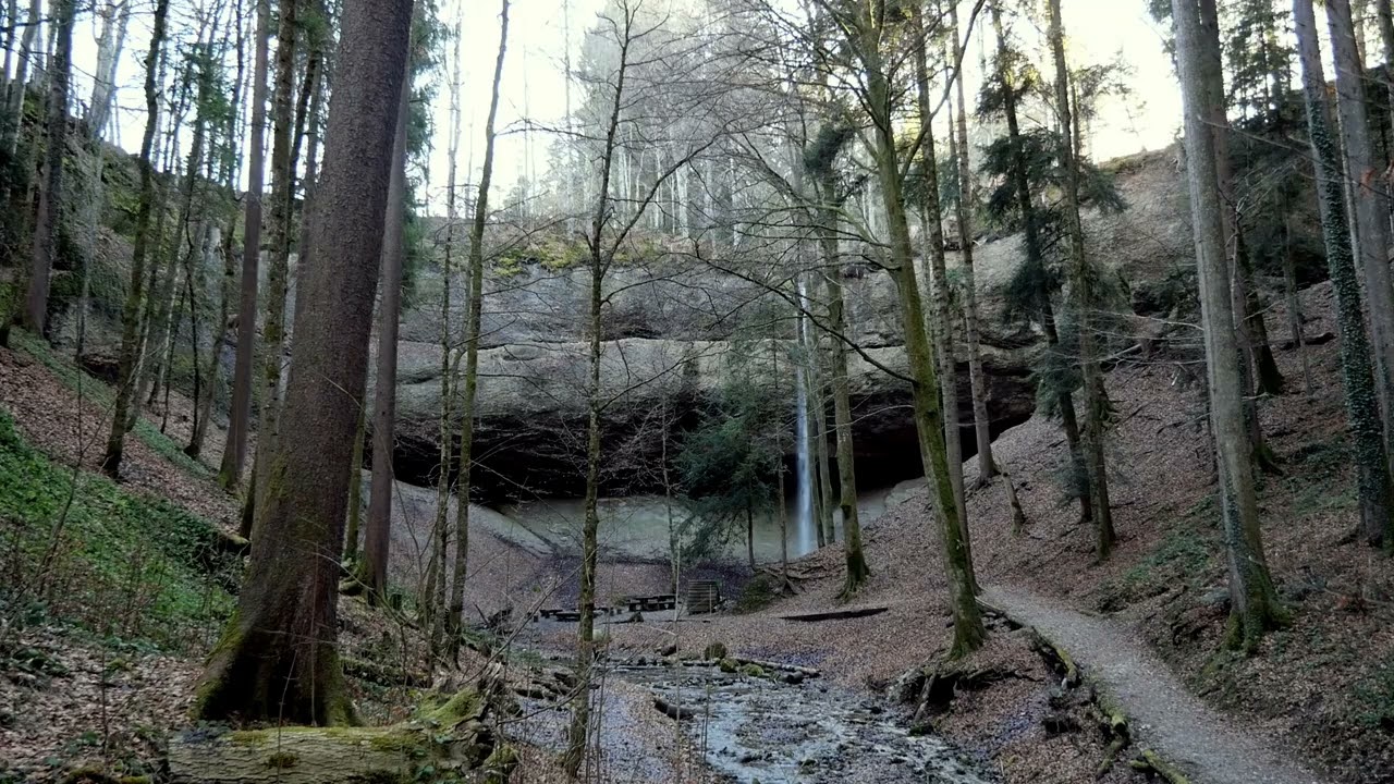 Hinwil, Switzerland | Mystical waterfall in the forest in a February afternoon | POV View | 4K