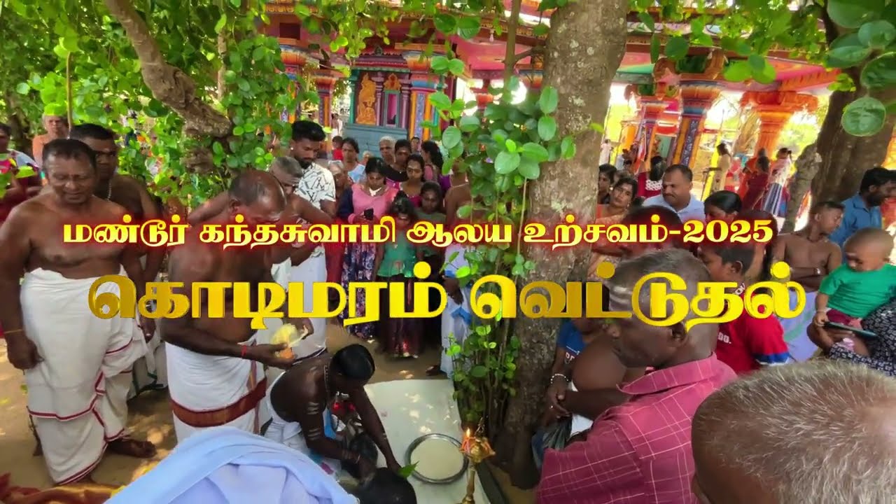 கொடிக்கம்பு வெட்டும் காட்சி | மண்டூர் முருகன் கோவில் | Mandur Murugan | 2025
