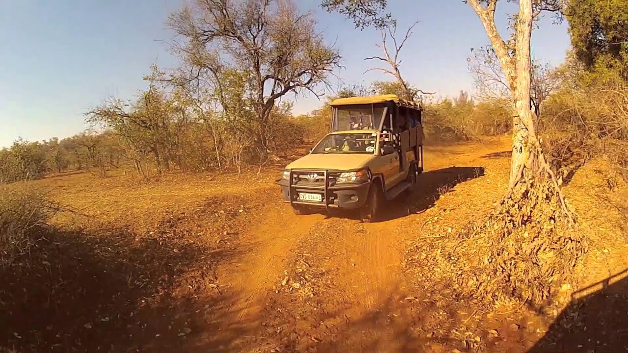 Sefapane Lodges and Safaris Main lodge showcase