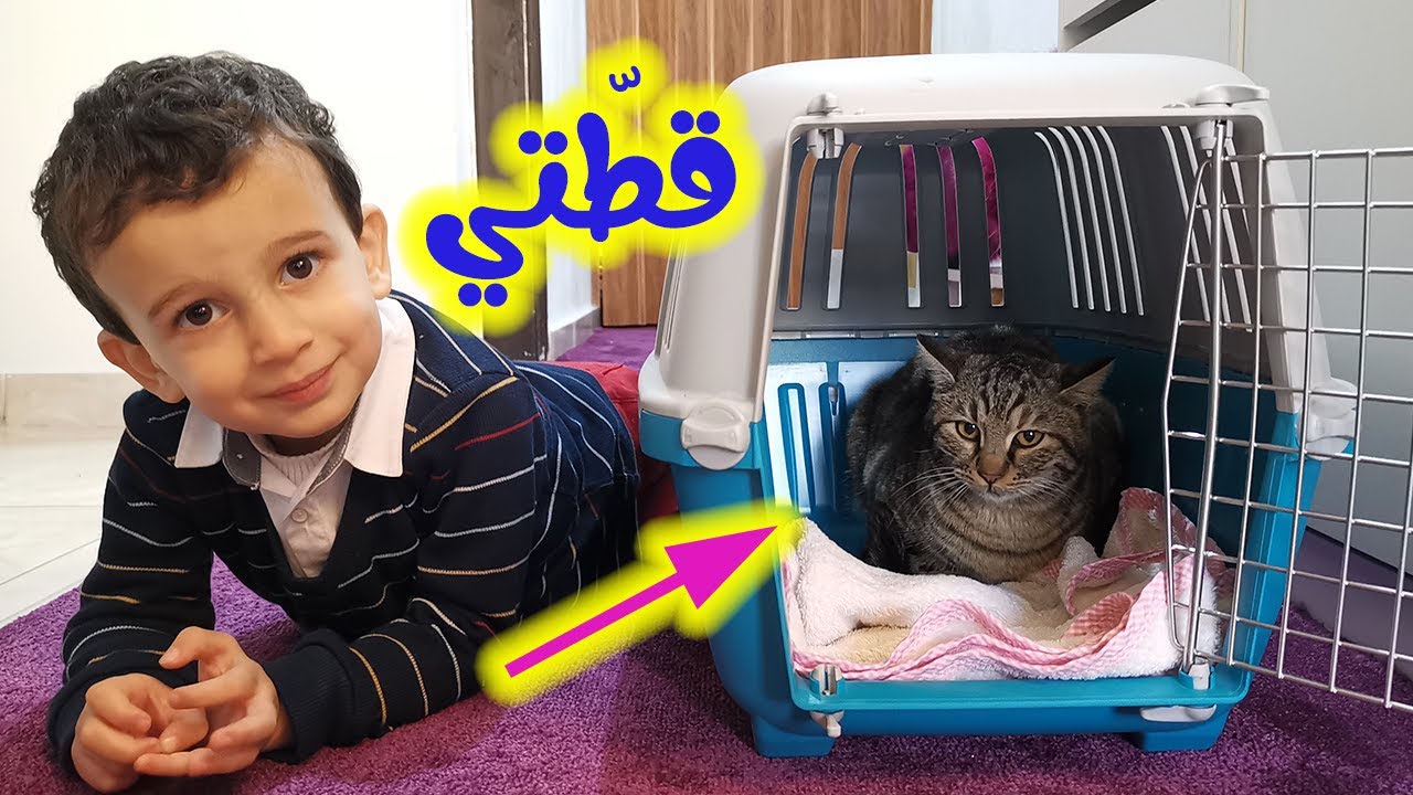 Подарок для сумасшедшего рыцаря!! 🥵